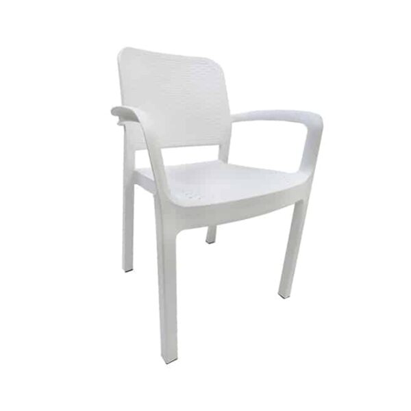 Protea arm chair rattan