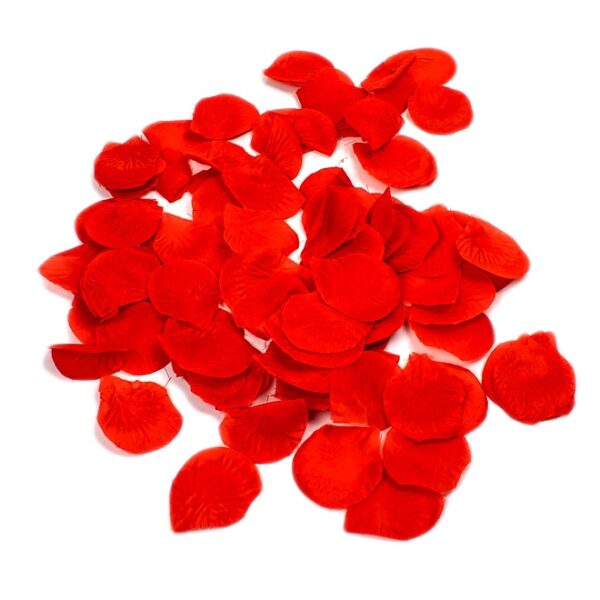 Red Rose Petals