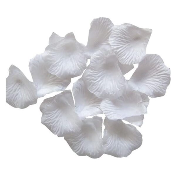 White Rose Petals
