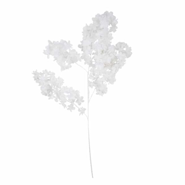 White Long Stem Tuberose