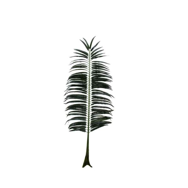 Dark Green Fern 1.6m