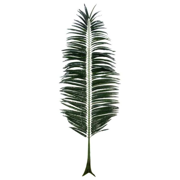 Dark Green Fern 2.2m