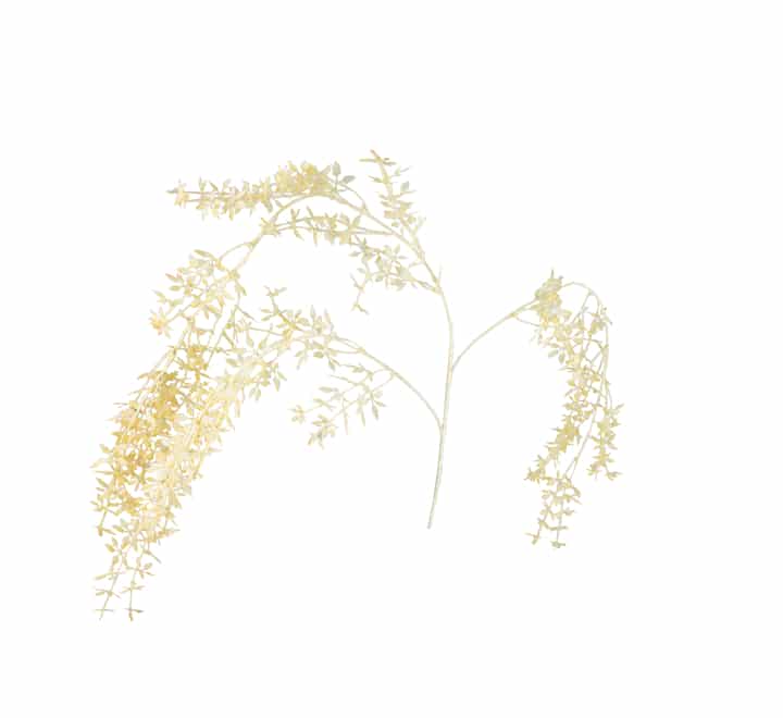 Artificial Ruscus Flower Cream