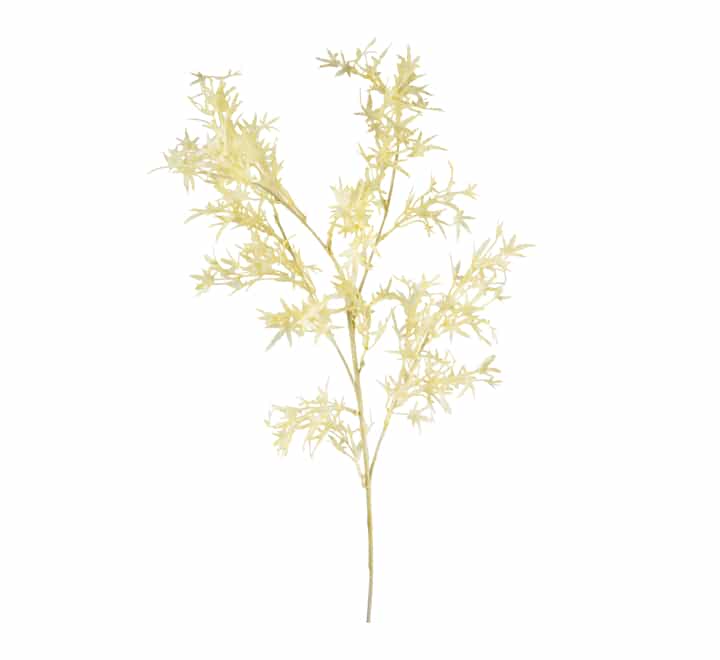 Artificial Ruscus Flower Cream