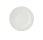 Dinner Plate 27cm Polaris Pattern