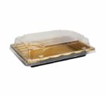 Plastic Food Packaging Tray