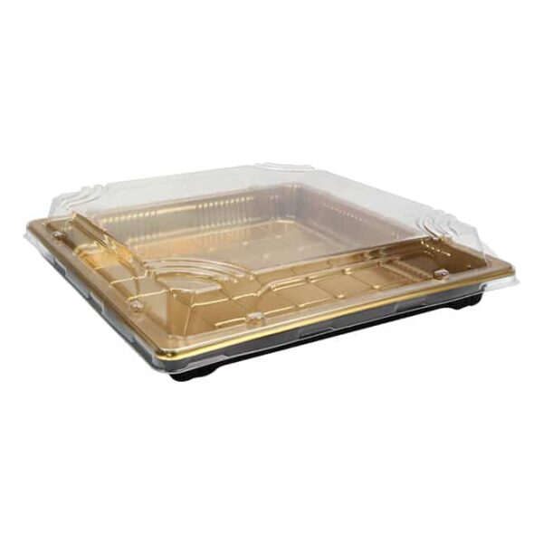 Plastic Food Packaging Tray