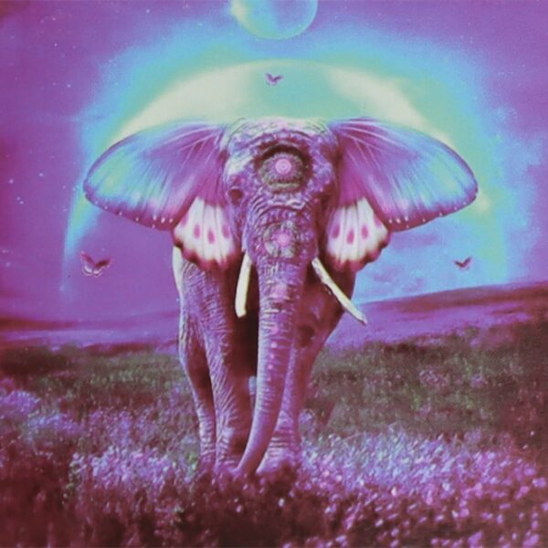 5D Diamond Art Painting 30x30cm