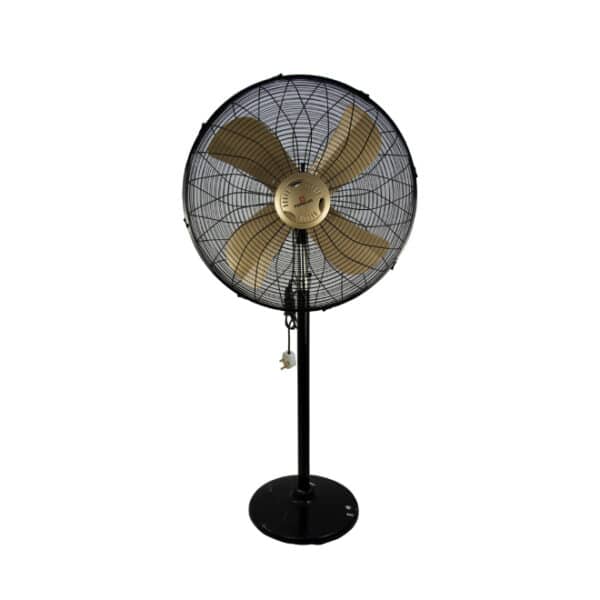 Pedestal Fan Black