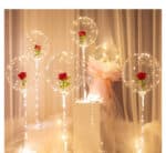 Bobo Transparent Balloons