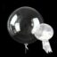 Bobo Transparent Balloons 32cm