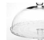 Glass Cake Dome