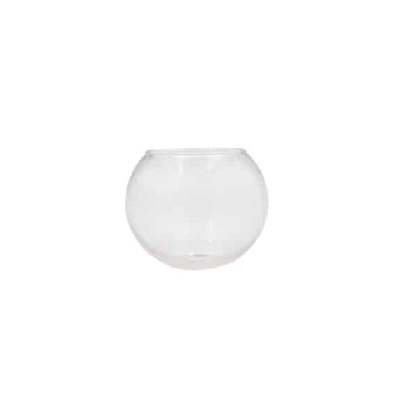 Small Glass Fish Bowl