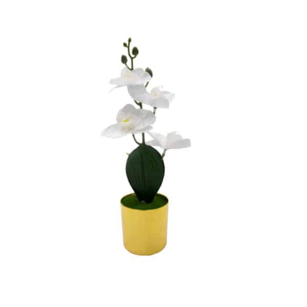 White Mini Orchid in Gold Flower Pot