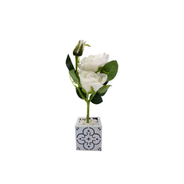 Mini Rose Tree in Square Ceramic Pot