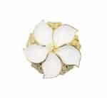 Leaf Snack Serving Bowl