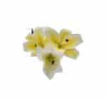 Artificial Lily Flower White/Yellow