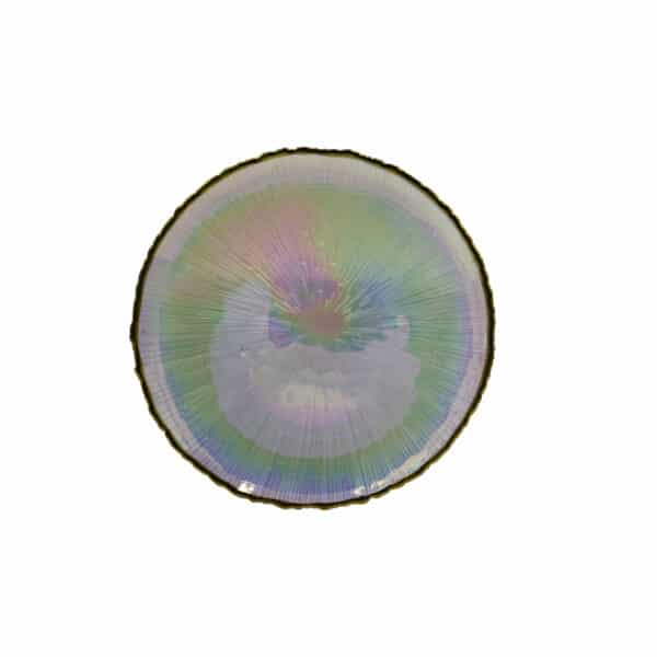 Colourful Glass Dinner Plate 10.5"