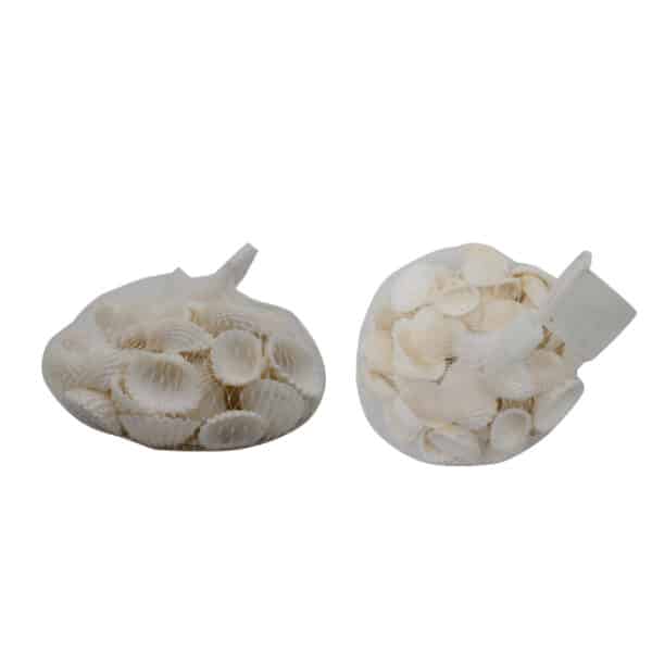 Decorative Shells White
