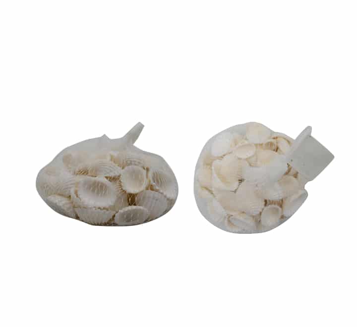 Decorative Shells White
