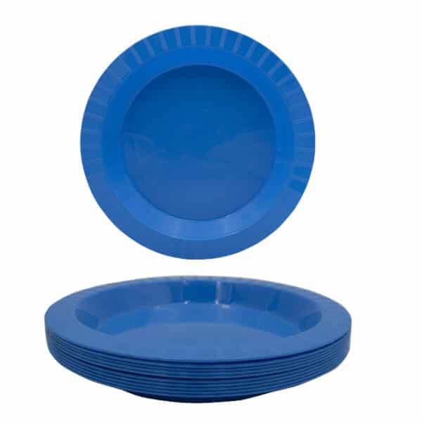 Light Blue Plastic Plates 10s