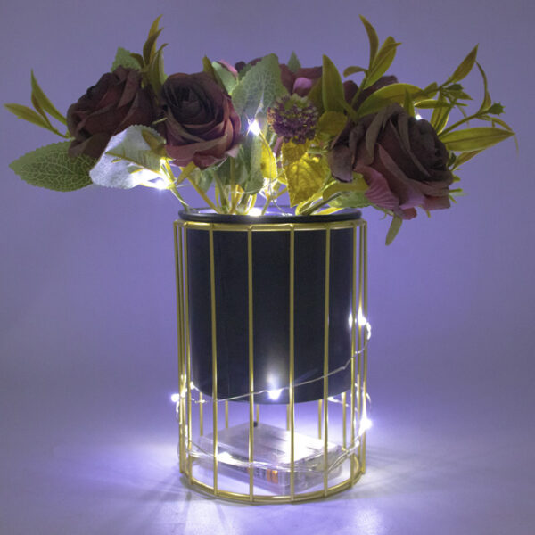 Battery Operated String Lights