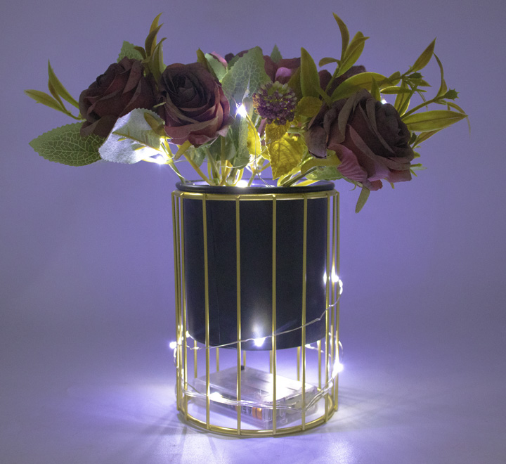 Battery Operated String Lights