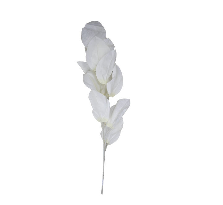 Artificial Cream Rucus Leaf 75cm