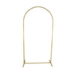 Wedding Arch Gold