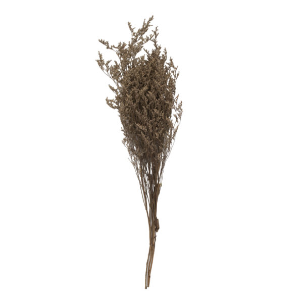 Dried Flower Bunch Brown
