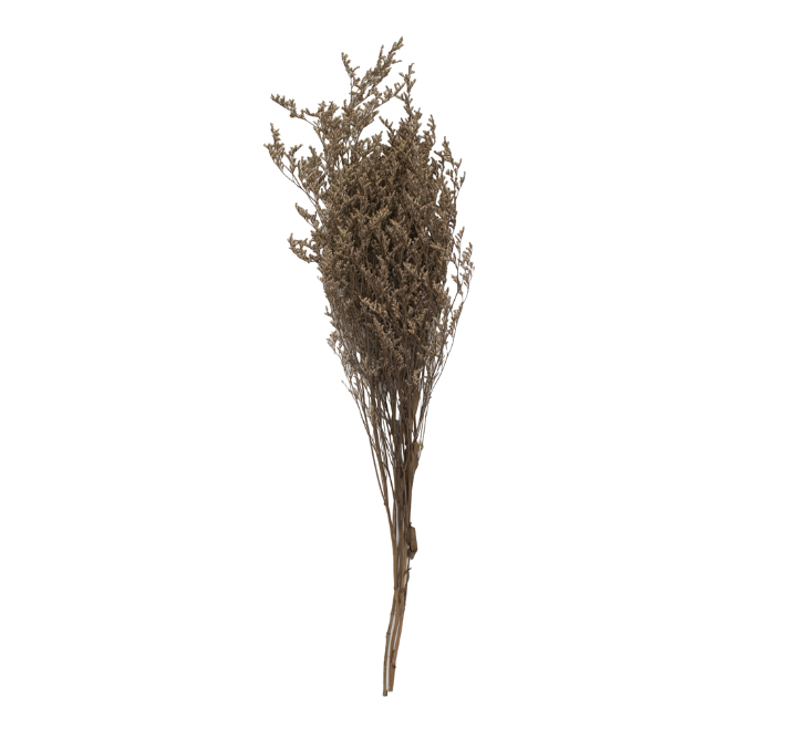 Dried Flower Bunch Brown