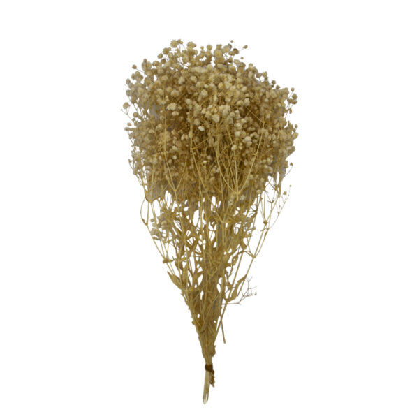 Baby's Breath Bouquet