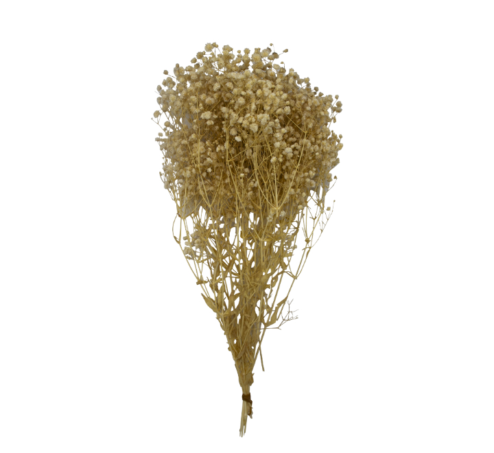 Baby's Breath Bouquet