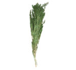 Artificial Rosemary Bunch Green