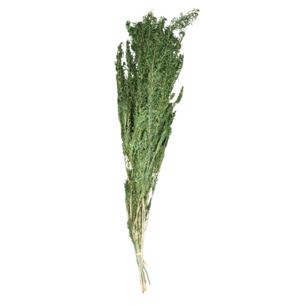 Artificial Rosemary Bunch Green