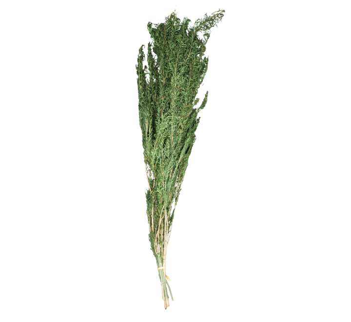 Artificial Rosemary Bunch Green