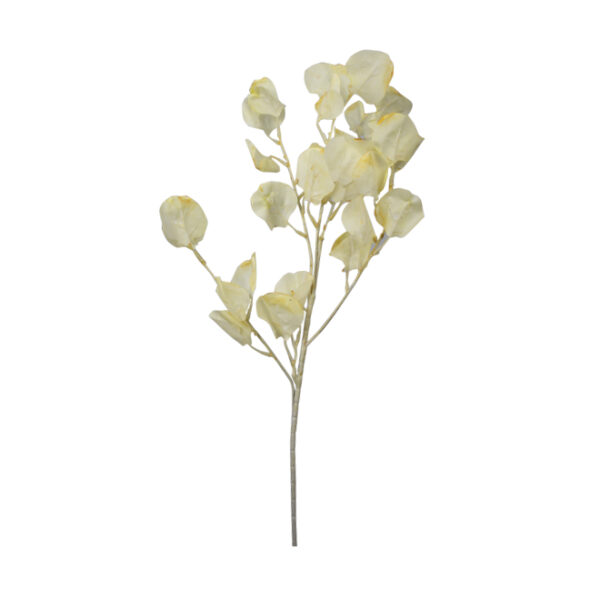 Cream Artificial Eucalyptus Leaves