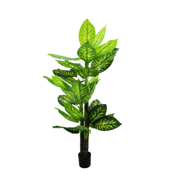 Artificial Diffenbachia Leaf Tree 2m in Pot