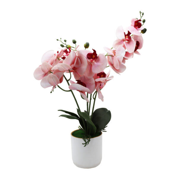 Artificial Orchid Plant in Pot