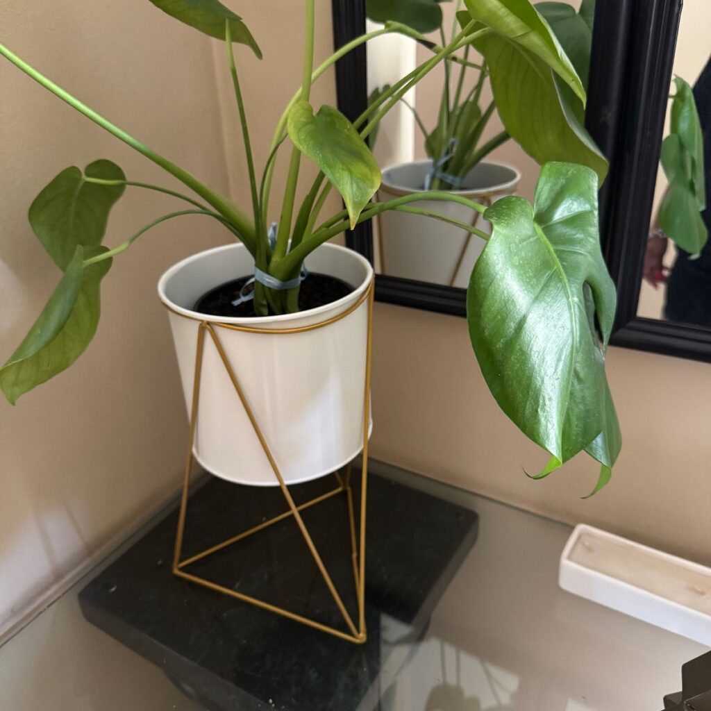 Image #1 from Anonymous