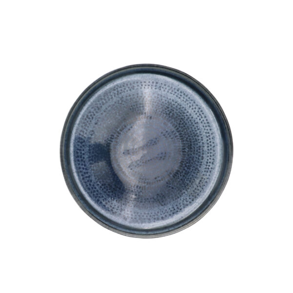 Ceramic Dinner Plate 27cm Dotted Blue