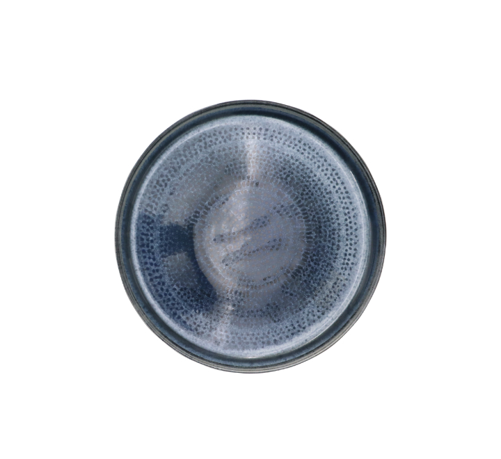 Ceramic Dinner Plate 27cm Dotted Blue