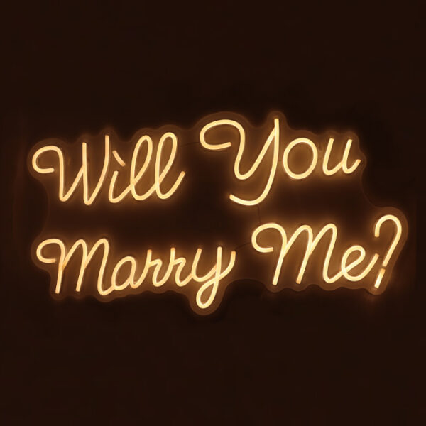Will You Marry Me LED Sign 71x36cm