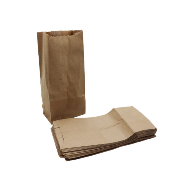 Brown Paper Bags SO 5 (500pcs)