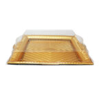 Disposable Square Plastic Serving Tray