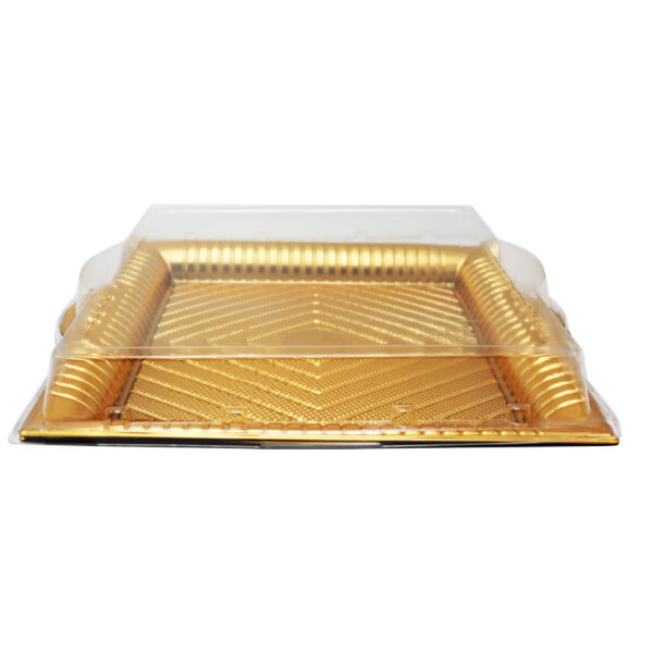 Disposable Square Plastic Serving Tray