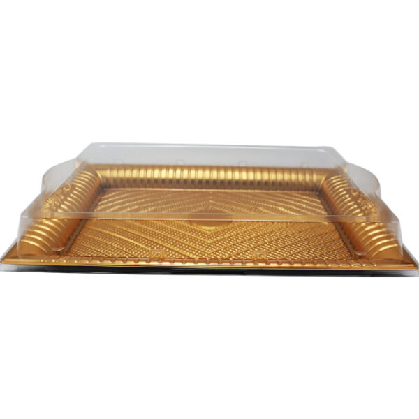Disposable Rectangular Plastic Serving Tray