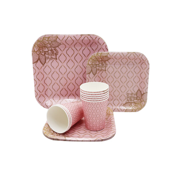 Disposable Plate/Cup Set 60pc