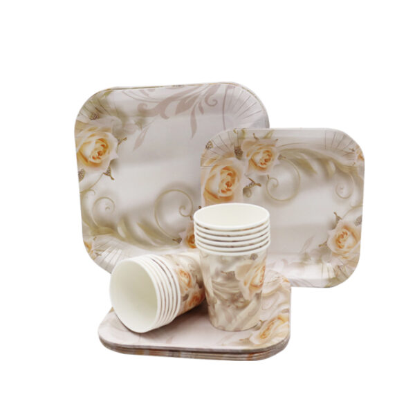 Disposable Plate/Cup Set 60pc