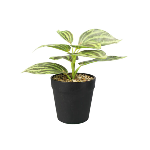 Artificial Peperomia Potted Plant